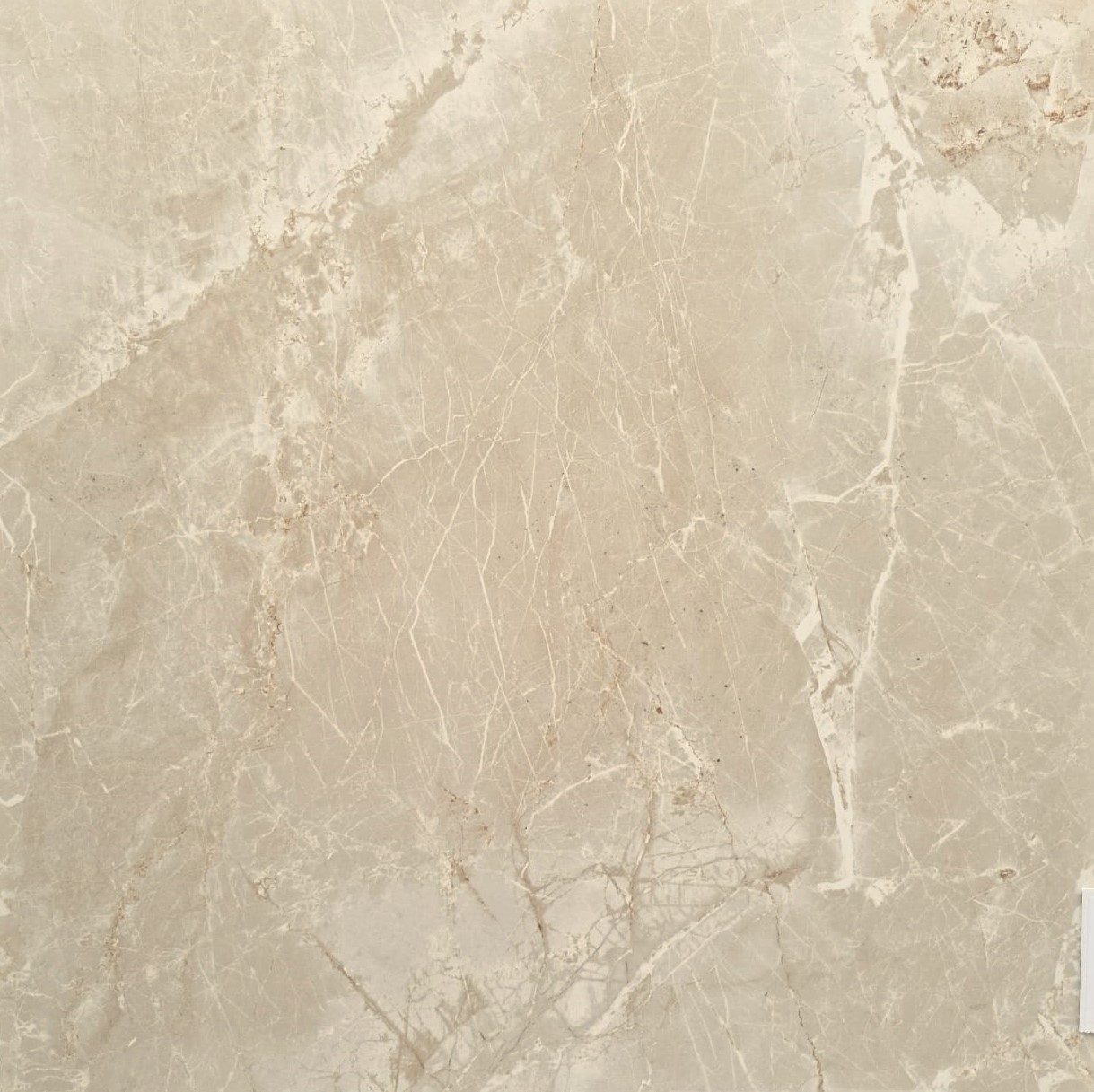 DELICATO BEIGE